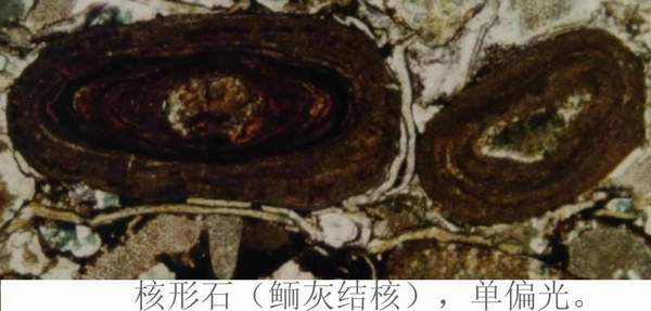 2138cn太阳集团