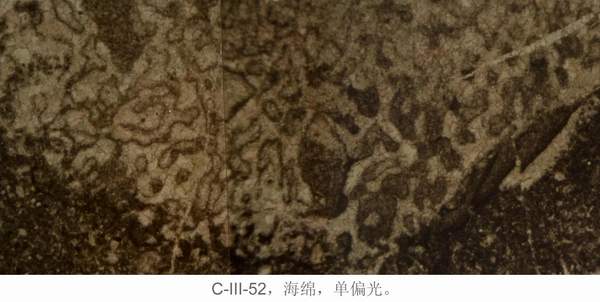 2138cn太阳集团