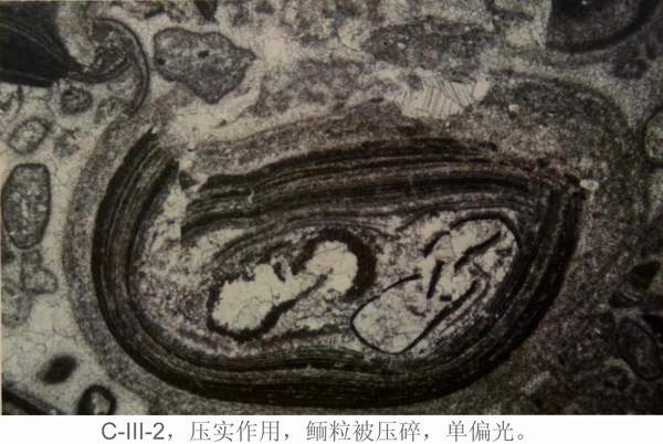 2138cn太阳集团
