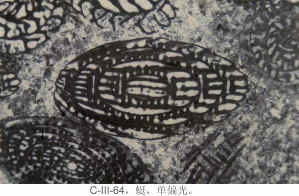 2138cn太阳集团