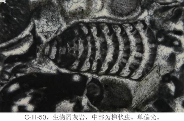 2138cn太阳集团