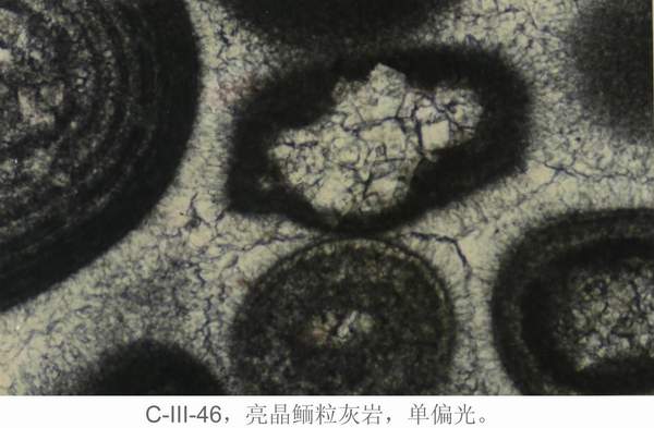 2138cn太阳集团