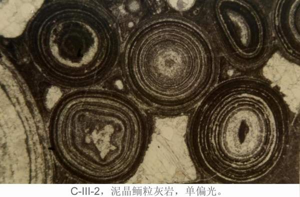 2138cn太阳集团