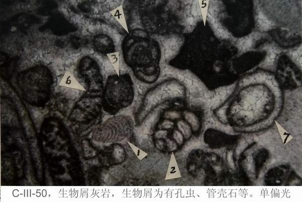 2138cn太阳集团