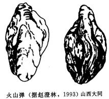 2138cn太阳集团